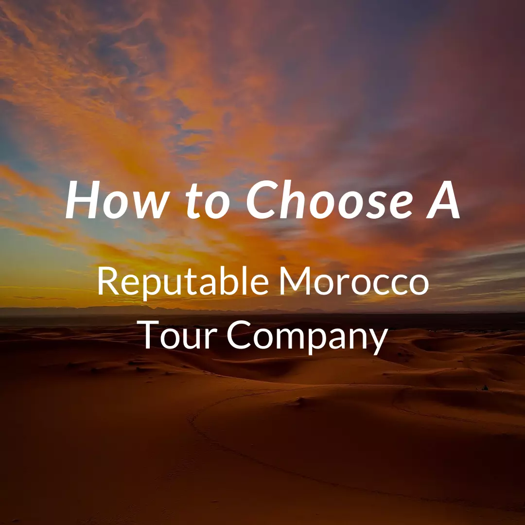 tour company morocco