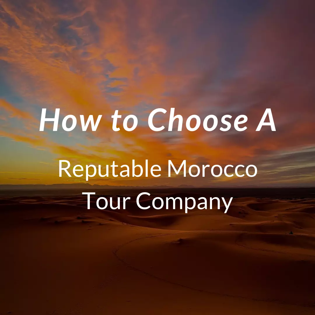 How to Choose a Reputable Morocco Tour Company