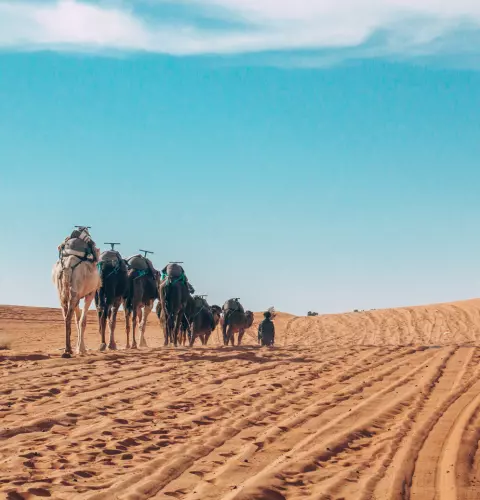 How to Get Around Morocco with Kids