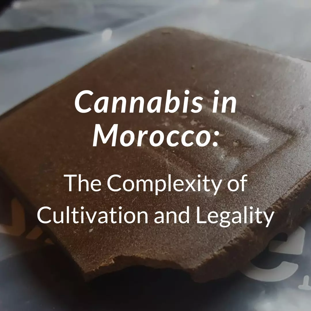 Cannabis in Morocco