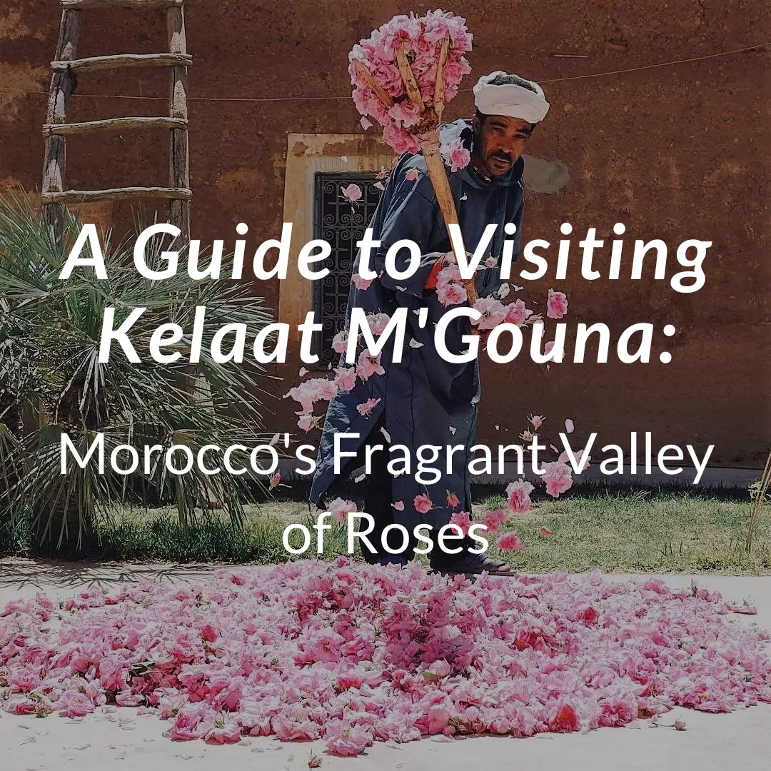 A Guide to Visiting Kelaat M'Gouna: Morocco's Fragrant Valley of Roses
