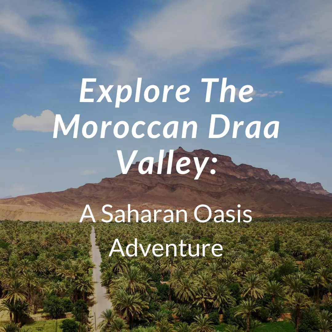 Explore The Moroccan Draa Valley